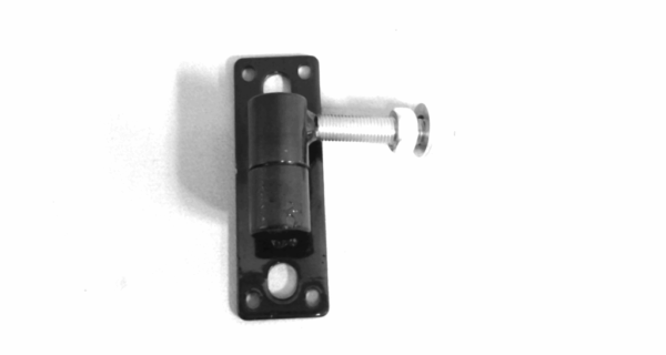 Adjustable Gate Hinges